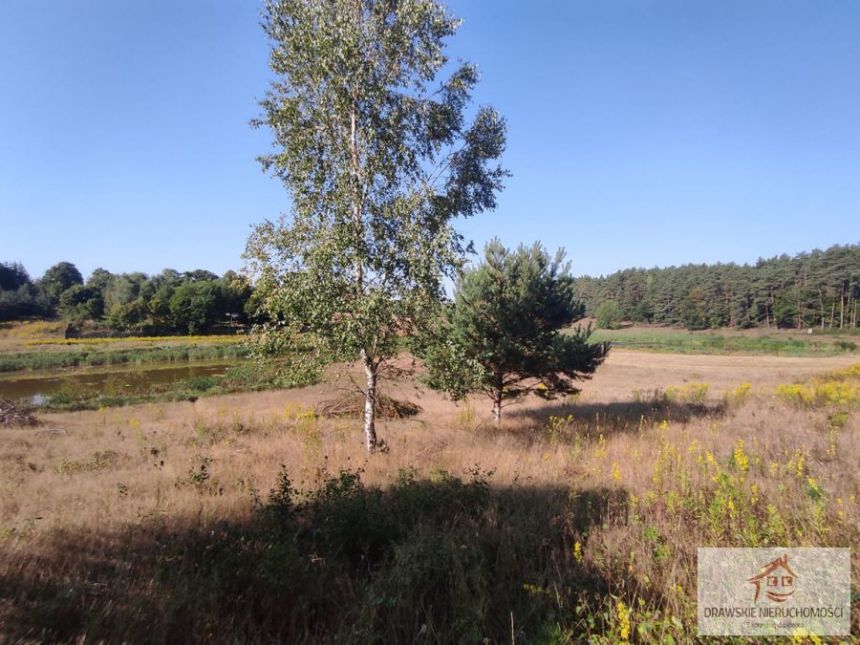 Siemczyno 275 000 zł 1.3 ha miniaturka 3