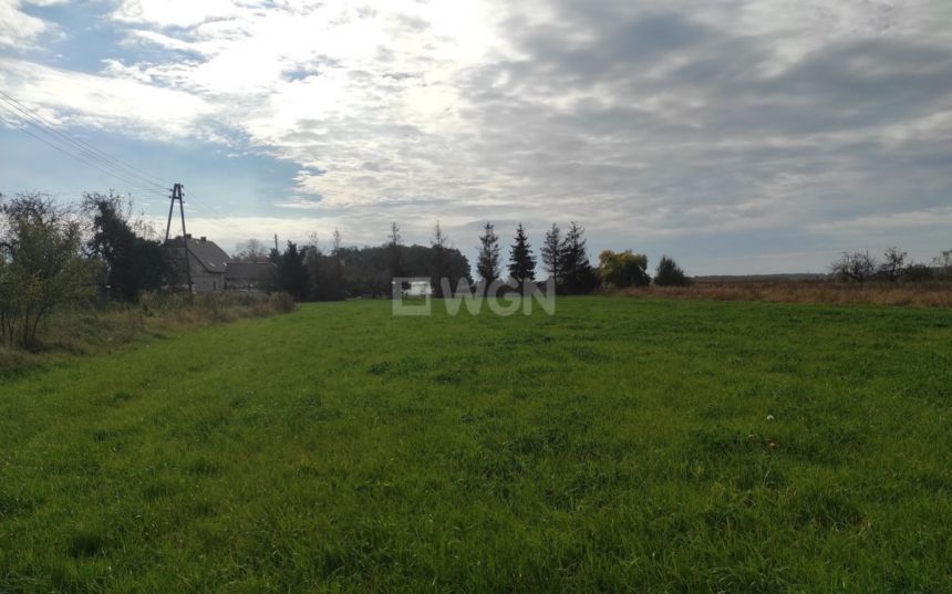 Krzepielów, 330 000 zł, 80 m2, wolnostojący miniaturka 6