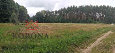 1,45 ha, las, możliwość uzyskania wz