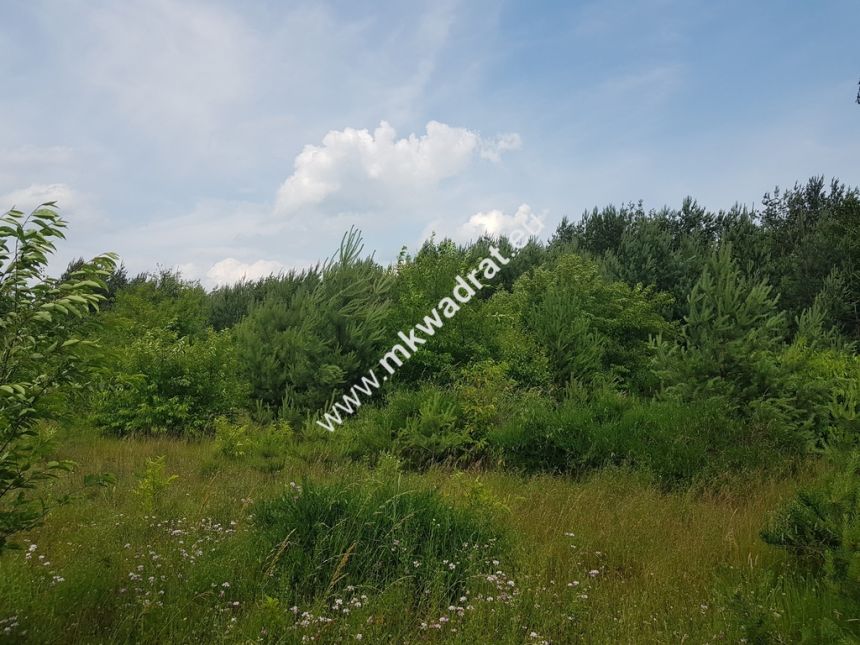 Działka 4000  m²  - usługowo-budowlana MPZP! miniaturka 2