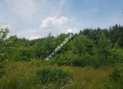 Działka 4000  m²  - usługowo-budowlana MPZP! miniaturka 2