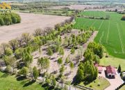 Duża działka z warunkami – Dawidy, 5306 m² miniaturka 6