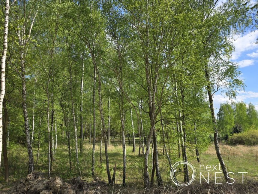 Rusiec, 1 259 000 zł, 150 m2, bliźniak miniaturka 13