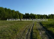 Bełchów, 198 000 zł, 30 ar, siedliskowa miniaturka 8