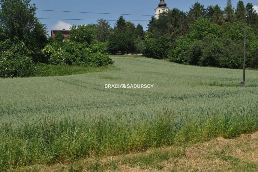 Duża działka inwestycyjna w Brzeziu gm.Kłaj miniaturka 4