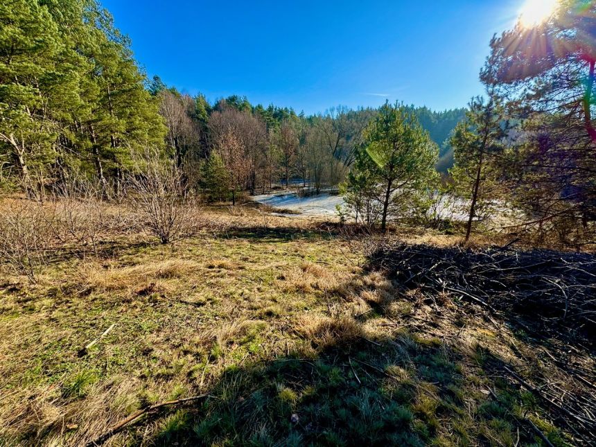 Działka leśna nad Pilicą-Ostrów gm. Aleksandrów miniaturka 15