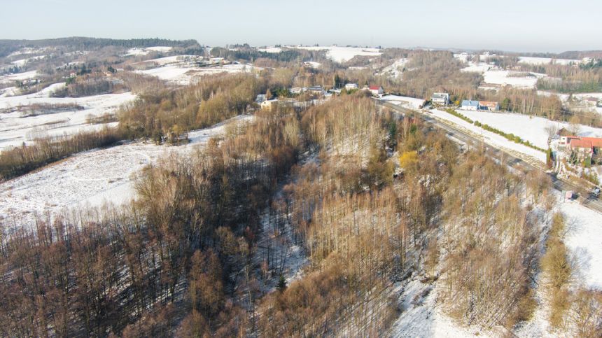 Na sprzedaż działka siedliskowa w Zabłędzy - zdjęcie 1
