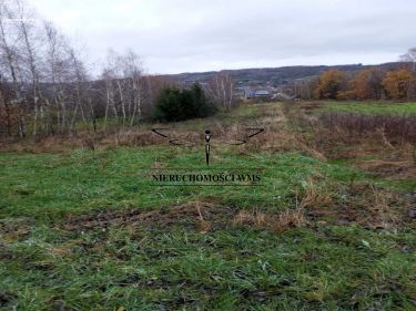 Tyczyn, 250 000 zł, 30 ar, droga dojazdowa asfaltowa