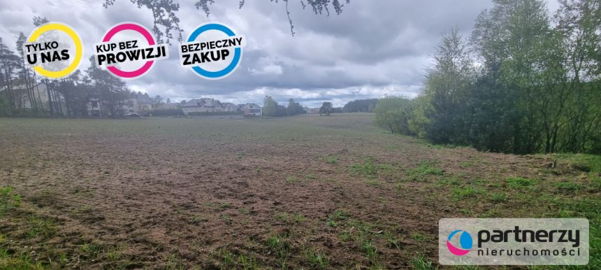 Bojano, 23 750 000 zł, 5.94 ha, droga dojazdowa utwardzona miniaturka 5