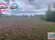 Bojano, 23 750 000 zł, 5.94 ha, droga dojazdowa utwardzona miniaturka 5