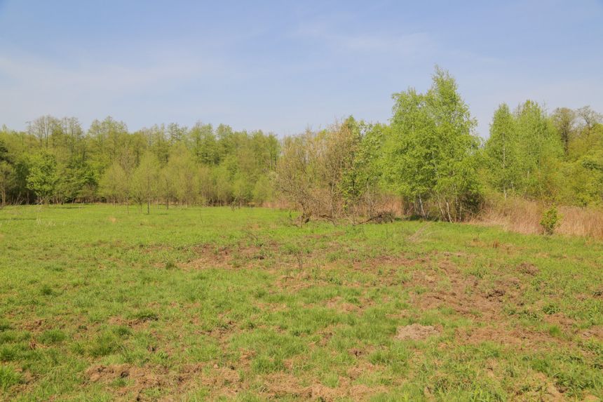 4 działki rolno-budowlane- Bielcza- Małopolska miniaturka 2