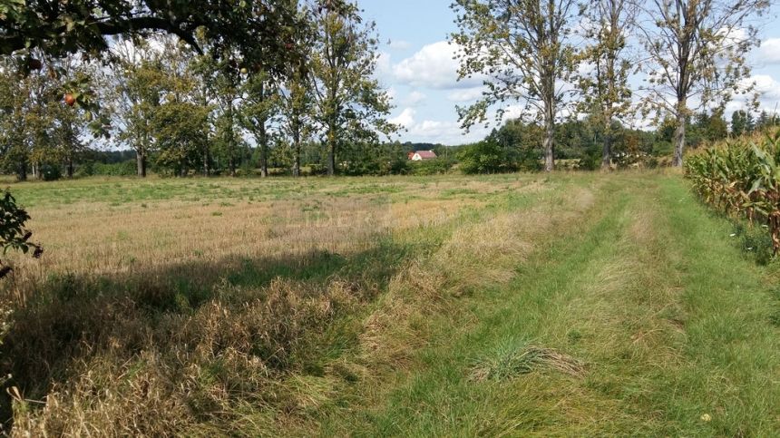 Leszno, 360 000 zł, 30 ar, prostokątna - zdjęcie 1