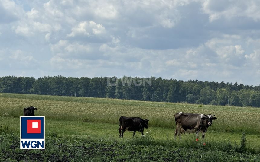 Sprowa, 679 000 zł, 170 m2, jednorodzinny miniaturka 13