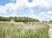 Zjawiskowa*budowlana*MPZP*5159 m² Krosinko*Mosina miniaturka 10