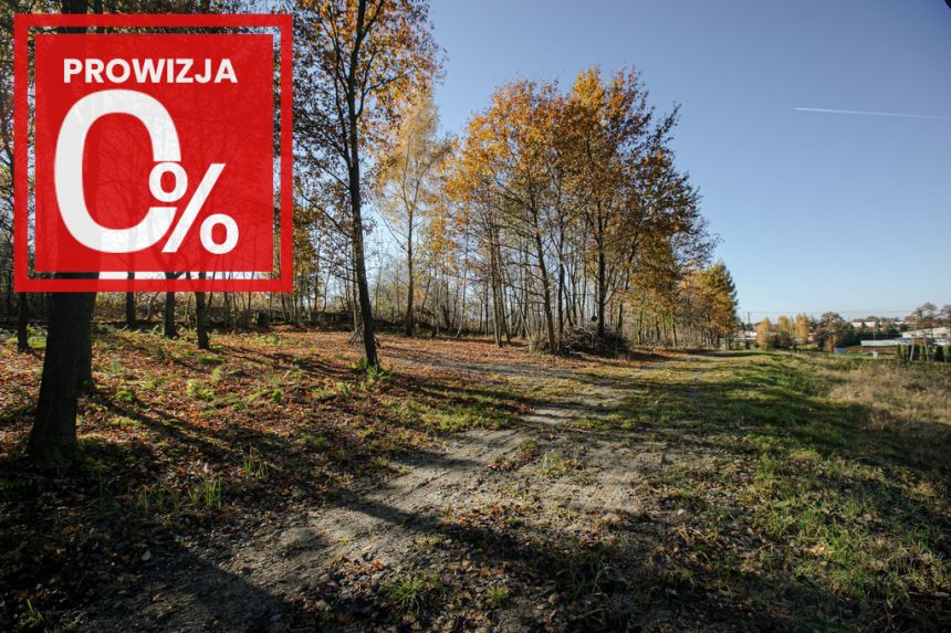 Działka budowlana- Koszyce Wielkie miniaturka 6