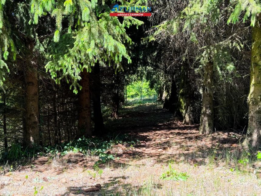 Dzierżążno Wielkie, 680 000 zł, 210 m2, do wykończenia miniaturka 10