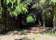Dzierżążno Wielkie, 680 000 zł, 210 m2, do wykończenia miniaturka 10