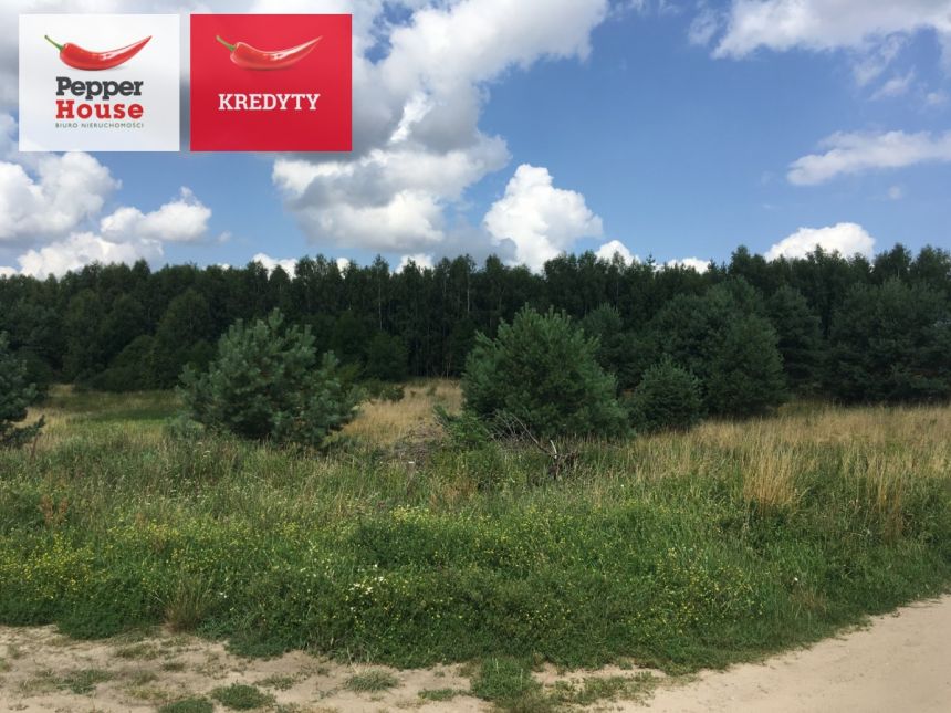 Obozin, 210 000 zł, 30.52 ar, przyłącze prądu miniaturka 3