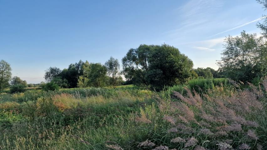 Niegowonice, 135 000 zł, 18.2 ar, droga dojazdowa asfaltowa miniaturka 2