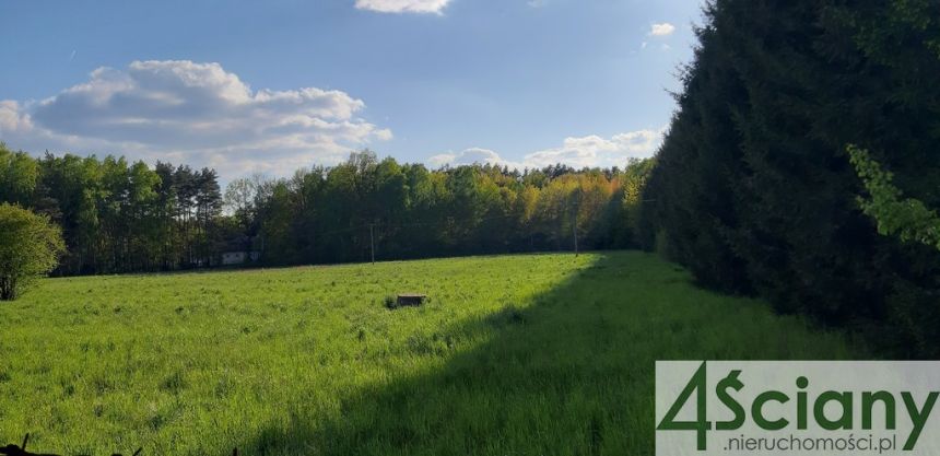 Klimatyczna działka w Ruścu koło Nadarzyna - zdjęcie 1