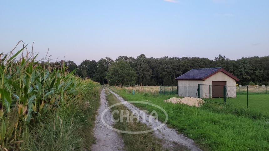 Jastrzębce, 3 608 570 zł, 5.16 ha, przyłącze prądu miniaturka 7
