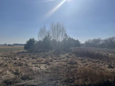 Działka budowlano-rolna 30min.od Warszawy trasa S8