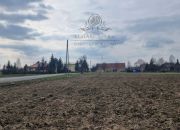 Działka siedliskowa 3000m2 z MPZP gm. Kąty Wrocławskie miniaturka 7