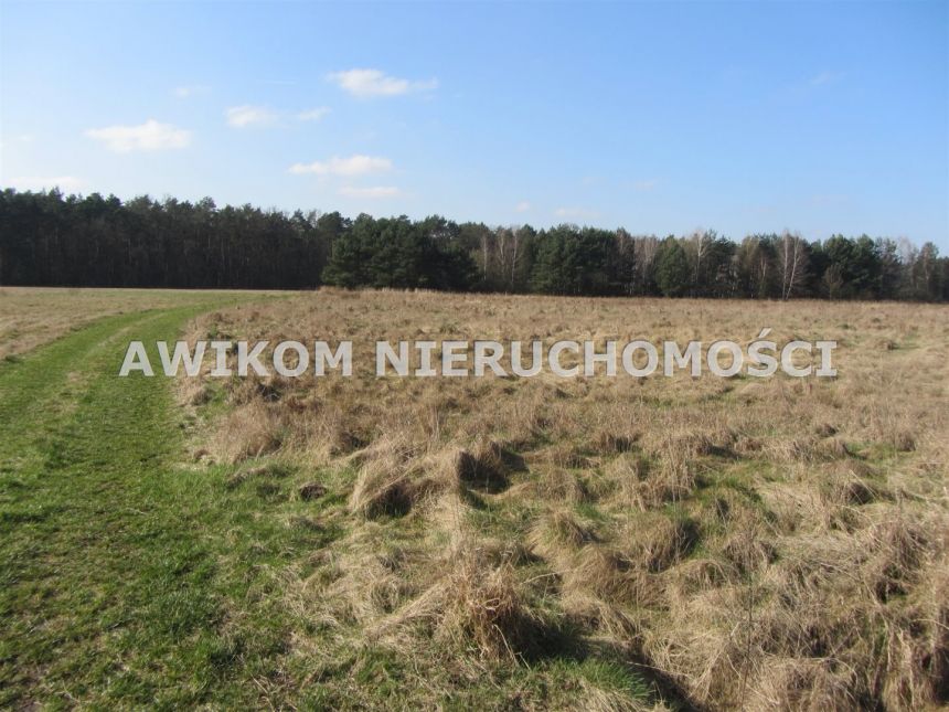 Wólka Łasiecka, 2 100 000 zł, 26.16 ha, rolna miniaturka 6