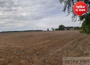 Trzebawie, 345 000 zł, 8 ha, droga dojazdowa asfaltowa miniaturka 4