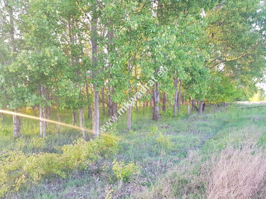 działka 800 m od szkoły miniaturka 6