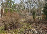 Krępa, 455 000 zł, 100 m2, z cegły miniaturka 8