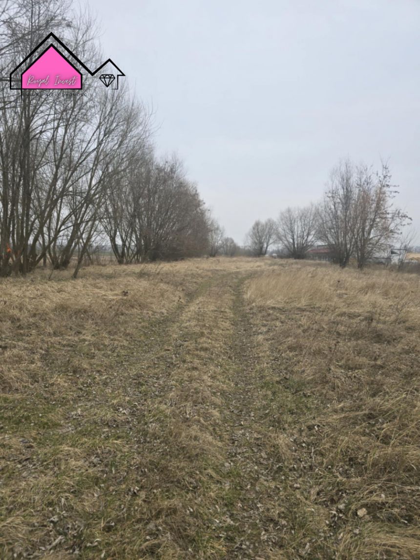 Konin Pociejewo, 315 000 zł, 81.56 ar, usługowa miniaturka 8