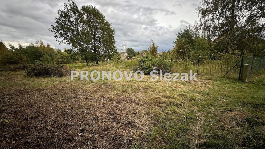 Sprzedam działkę budowlaną Siemianice k.Obornik Śl miniaturka 3