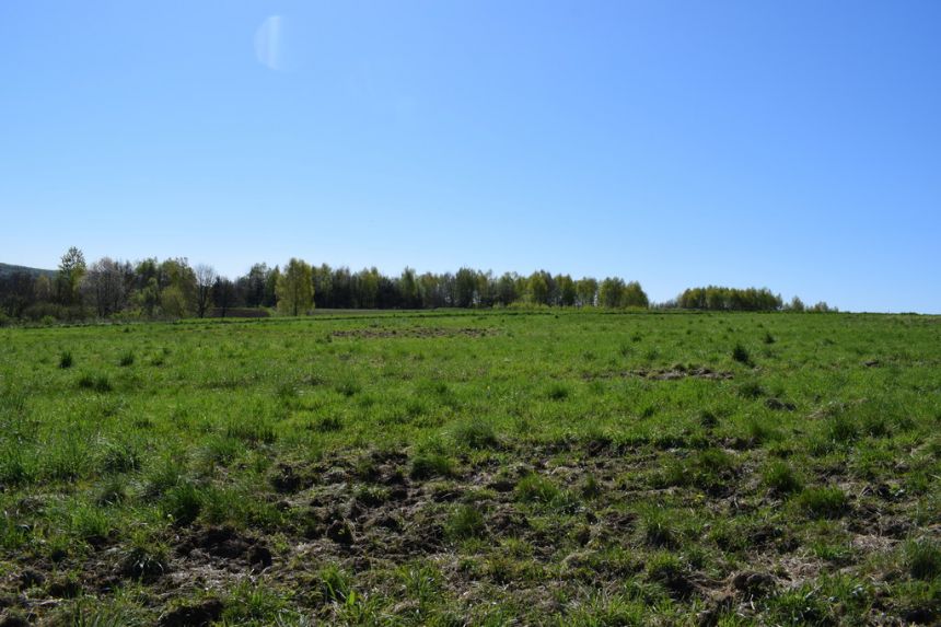 Działka 35.6a pod rekreację w miejscowości Wydrna miniaturka 4
