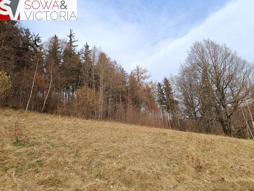 Działka budowlana przy lesie - zdjęcie 1