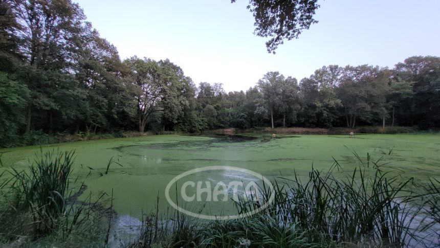 Jastrzębce, 3 608 570 zł, 5.16 ha, przyłącze prądu miniaturka 10