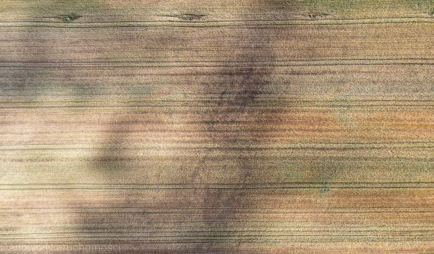 Darłowo 382 000 zł 20.66 ar miniaturka 5