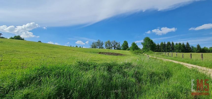 Morąg, 1 900 000 zł, 1.22 ha, prostokątna miniaturka 4