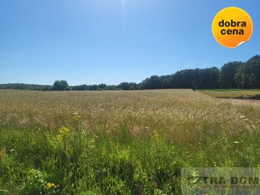 Goleniów, 115 000 zł, 30 ar, budowlana