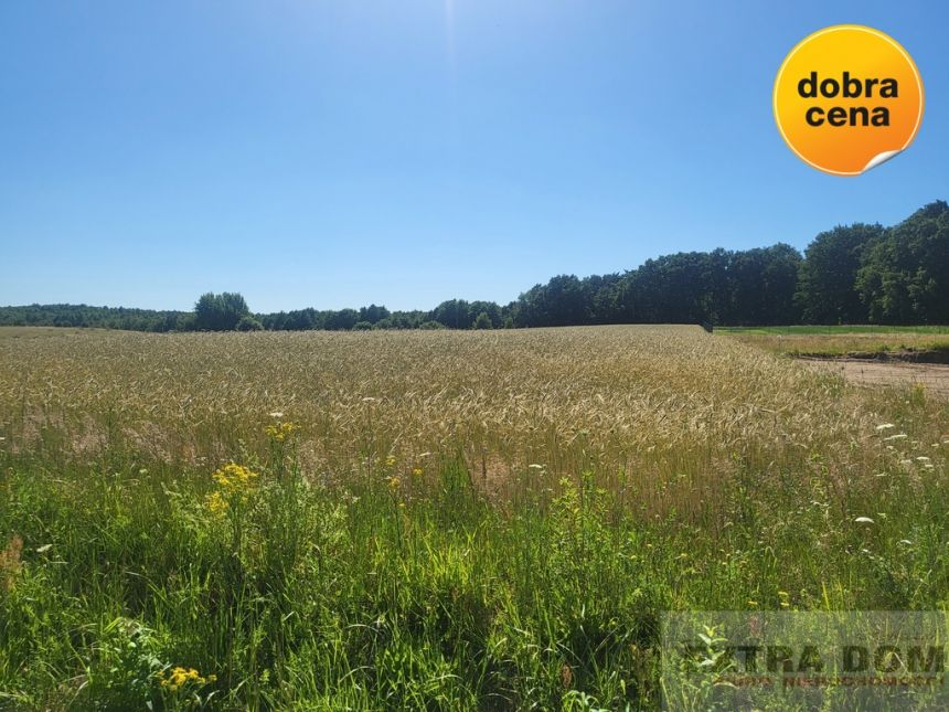 Goleniów, 115 000 zł, 30 ar, budowlana - zdjęcie 1