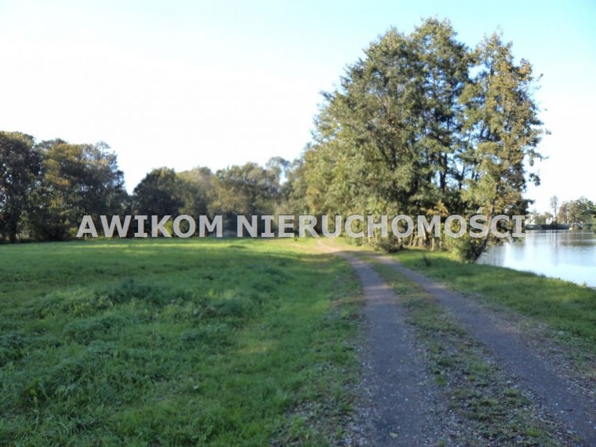 Odrano-Wola, 3 950 000 zł, 5.32 ha, woda w drodze miniaturka 5