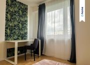 Nowe Miasto | 3 oddzielne pokoje | Osobna kuchnia miniaturka 6