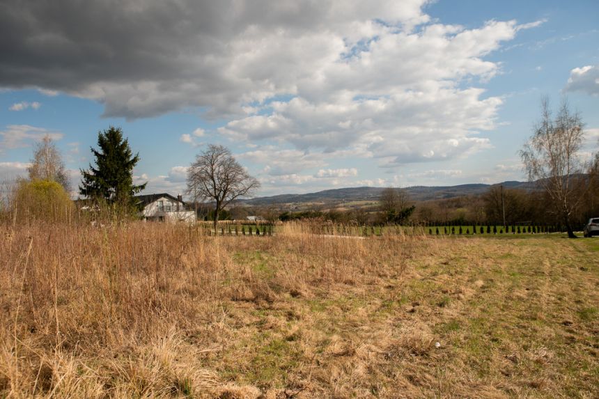 Działka rolno-budowlana w Ryglicach - 1,14 ha! - zdjęcie 1