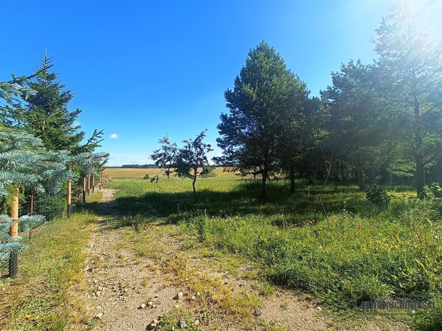 Działki budowlane nad jeziorem. Db. dojazd i plaża miniaturka 10