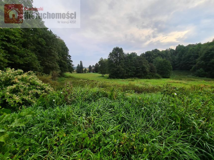 Paszkówka, 99 000 zł, 1.6 ha, rolno-budowlana miniaturka 6