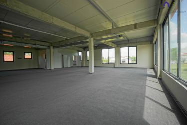 Tychy, 6 900 zł, 200 m2, 1 pokój