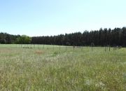 Na sprzedaż działka 1075 m2 w Kołaczkowie miniaturka 4