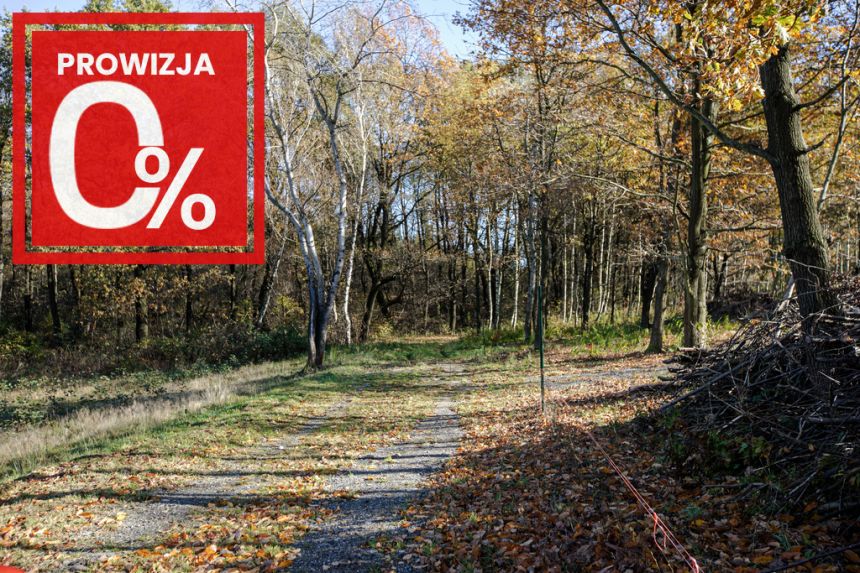 Działka budowlana- Koszyce Wielkie miniaturka 7