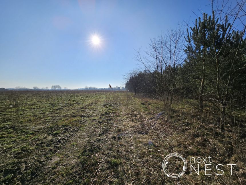 Krakowiany, 9 320 000 zł, 3.33 ha, inwestycyjna miniaturka 9