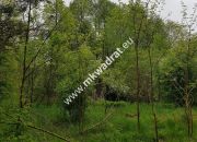 Korabiewice działka leśna miniaturka 1